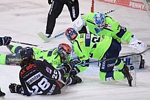 Eishockey, Herren, DEL, Saison 2020-2021, Straubing Tigers - ERC Ingolstadt, 31.01.2021