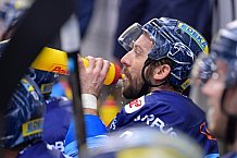 ERC Ingolstadt vs Eisbären Berlin, DEL, Deutsche Eishockey Liga, Spieltag 11, 13.10.2019