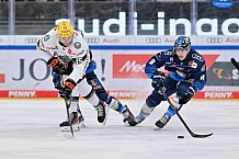 Eishockey, Herren, DEL, Saison 2024-2025, Spieltag 14, ERC Ingolstadt - Löwen Frankfurt, 31.10.2024