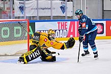 Hockey, Mens, CHL, Season 2025-2026, Regular Season, Game Day 2, ERC Ingolstadt - Kalpa Kuopio, 30.08.2025