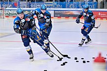 Eishockey, Herren, DEL, Saison 2025-2026, Spiel 44, ERC Ingolstadt - Dresdner Eislöwen, 27.01.2026