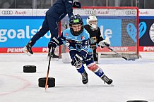 Eishockey, Herren, DEL, Saison 2023-2024, ERC Ingolstadt - Kids on Ice Day, 18.11.2023