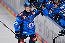 Eishockey, Herren, DEL, Saison 2025-2026, Spiel 16, ERC Ingolstadt - Kölner Haie, 31.10.2025
