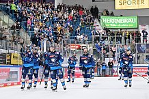 Eishockey, Herren, DEL, Saison 2024-2025, Spieltag 8, ERC Ingolstadt - Grizzlys Wolfsburg, 11.10.2024