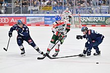 Eishockey, Herren, DEL, Saison 2024-2025, Spieltag 15, ERC Ingolstadt - Augsburger Panther, 03.11.2024