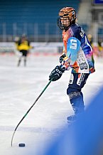 Eishockey, Frauen, DFEL, Saison 2024-2025, ERC Ingolstadt - Mad Dogs Mannheim, 23.11.2024