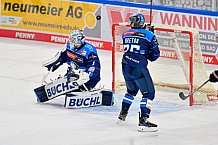Eishockey, Herren, DEL, Saison 2025-2026, Gäubodenvolksfest-Cup 2025, Spiel 1, Nürnberg Ice Tigers - ERC Ingolstadt, 15.08.2025