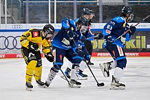 Eishockey, Herren, U20 DNL, Saison 2025-2026, ERC Ingolstadt - Krefeld Pinguine, 10.01.2026