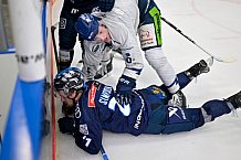 Eishockey, Herren, DEL, Saison 2024-2025, Spieltag 49, ERC Ingolstadt - Straubing Tigers, 28.02.2025
