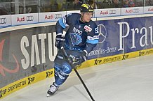 ERC Ingolstadt vs Straubing Tigers, Eishockey, DEL, Deutsche Eishockey Liga, 09.03.2016