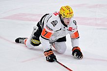 Eishockey, Herren, DEL, Saison 2025-2026, Spiel 37, ERC Ingolstadt - Löwen Frankfurt, 06.01.2026