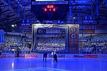 Eishockey, Herren, DEL, Saison 2023-2024, Spieltag 39, ERC Ingolstadt - Iserlohn Roosters, 19.01.2024
