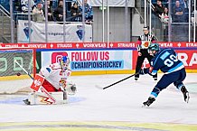 Hockey, Mens, CHL, Season 2025-2026, Regular Season, Round of 16, ERC Ingolstadt - EC Red Bull Salzburg, 12.11.2025