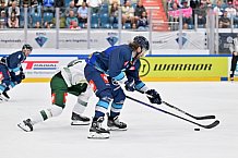 Eishockey, Mens, CHL, Season 2023-2024, ERC Ingolstadt - Färjestad Karlstad, 02.09.2023