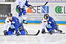 Duesseldorfer EG vs ERC Ingolstadt, Eishockey, DEL, Deutsche Eishockey Liga, Spieltag 47, 17.02.2019