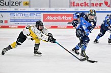 Eishockey, Frauen, DFEL, Saison 2023-2024, ERC Ingolstadt - Mad Dogs Mannheim, 18.02.2024