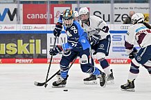 Eishockey, Frauen, DFEL, Playoffs, Saison 2023-2024, ERC Ingolstadt - Eisbären Berlin, 02.03.2024