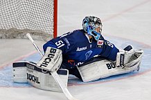 ERC Ingolstadt  - Grizzlys Wolfsburg, Eishockey, DEL, Deutsche Eishockey Liga, Spieltag 42, 31.01.2016