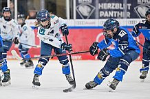 Eishockey, Herren, DEL, Saison 2024-2025, Spieltag 45, ERC Ingolstadt - Iserlohn Roosters, 16.02.2025