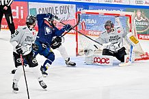 Eishockey, Herren, DEL, Saison 2024-2025, Playoffs Halbfinale, Spiel 3, ERC Ingolstadt - Kölner Haie, 06.04.2025