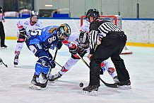 Eishockey, Frauen, DFEL, Saison 2023-2024, ERC Ingolstadt - ECDC Memmingen Indians, 21.01.2024