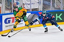 Hockey, Mens, CHL, Season 2025-2026, Regular Season, Game Day 1, ERC Ingolstadt - Ilves Tampere, 28.08.2025
