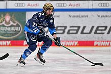 Eishockey, Frauen, DFEL, Saison 2024-2025, ERC Ingolstadt - EC Bergkamener Bären, 04.01.2025