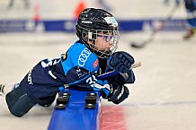 Eishockey, Saison 2025-2026, ERC Ingolstadt - Kids On Ice Day, 29.11.2025