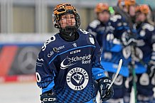Eishockey, Frauen, DFEL, Saison 2024-2025, ERC Ingolstadt - EC Bergkamener Bären, 04.01.2025