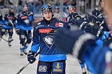 Eishockey, Herren, DEL, Saison 2024-2025, Spieltag 36, ERC Ingolstadt - Kölner Haie, 12.01.2025