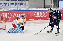 Eishockey, Herren, DEL, Saison 2024-2025, Spieltag 22, ERC Ingolstadt - Düsseldorfer EG, 01.12.2024