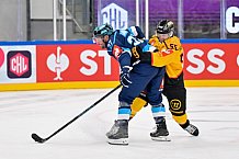 Hockey, Mens, CHL, Season 2025-2026, Regular Season, Game Day 2, ERC Ingolstadt - Kalpa Kuopio, 30.08.2025