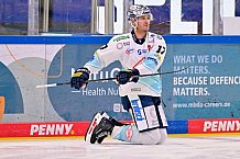 Eishockey, Herren, DEL, Saison 2025-2026, Spiel 44, ERC Ingolstadt - Dresdner Eislöwen, 27.01.2026