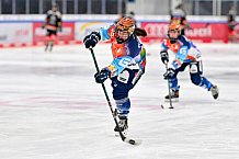 Eishockey, Frauen, DFEL, Saison 2024-2025, ERC Ingolstadt - EC Bergkamener Bären, 05.01.2025