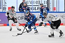 Eishockey, Herren, DEL, Saison 2024-2025, Spieltag 36, ERC Ingolstadt - Kölner Haie, 12.01.2025