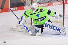 Eishockey, Herren, DEL, Saison 2020-2021, ERC Ingolstadt - Nürnberg Ice Tigers, 02.02.2021