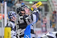 Eishockey, Herren, DEL, Saison 2024-2025, Spieltag 8, ERC Ingolstadt - Grizzlys Wolfsburg, 11.10.2024
