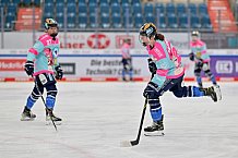 Eishockey, Frauen, DFEL, Saison 2023-2024, ERC Ingolstadt - Amsterdam Tigers, 06.01.2024