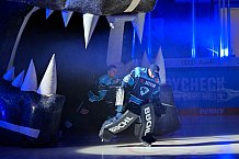 Eishockey, Herren, DEL, Saison 2022-2023, Spieltag 12, ERC Ingolstadt - Löwen Frankfurt, 18.10.2022