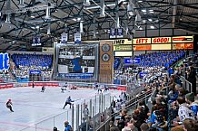 Eishockey, Herren, DEL, Saison 2023-2024, Spieltag 39, ERC Ingolstadt - Iserlohn Roosters, 19.01.2024