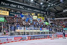 Eishockey, Herren, DEL, Saison 2024-2025, Spieltag 49, ERC Ingolstadt - Straubing Tigers, 28.02.2025