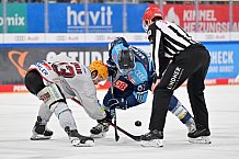 Eishockey, Herren, DEL, Saison 2022-2023, Spieltag 56, ERC Ingolstadt - Fischtown Pinguins Bremerhaven, 24.02.2023