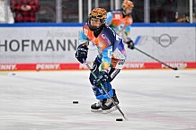Eishockey, Frauen, DFEL, Saison 2024-2025, ERC Ingolstadt - Eisbären Berlin, 15.02.2025