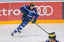 ERC Ingolstadt  - Grizzlys Wolfsburg, Eishockey, DEL, Deutsche Eishockey Liga, Spieltag 37, 13.01.2017

