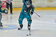 Eishockey, Herren, DEL, Saison 2026-2027, Steinbach Black Wings Linz - ERC Ingolstadt, 23.08.2026