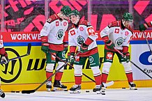 Hockey, Mens, CHL, Season 2025-2026, Quarter-Finals, ERC Ingolstadt - Frölunda Gothenburg, 02.12.2025
