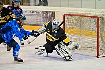 Eishockey, Herren, DEL, Saison 2025-2026, Vinschgau Cup, Spiel 4, HC Pustertal - ERC Ingolstadt, 24.08.2025