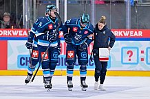 Hockey, Mens, CHL, Season 2025-2026, Regular Season, Round of 16, ERC Ingolstadt - EC Red Bull Salzburg, 12.11.2025