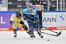 Eishockey, Frauen, DFEL, Halbfinale, Saison 2022-2023, ERC Ingolstadt - Mad Dogs Mannheim, 25.02.2023