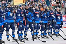 Eishockey, Herren, DEL, Saison 2024-2025, Spieltag 2, ERC Ingolstadt - Straubing Tigers, 22.09.2024